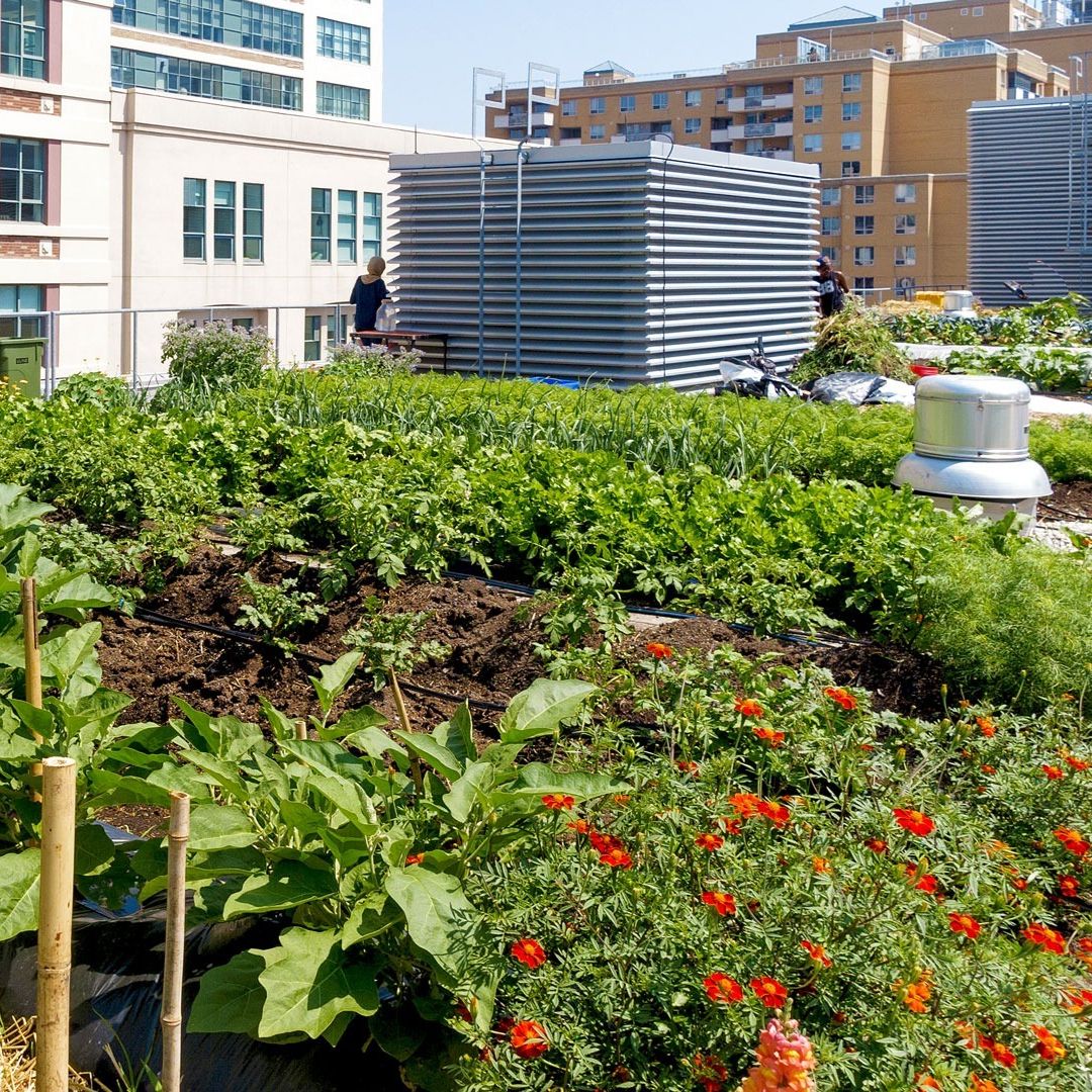 Garden & Agriculture